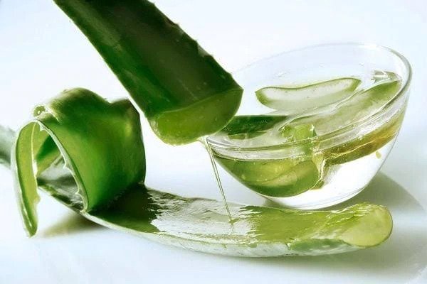 Aloe vera leaf juice